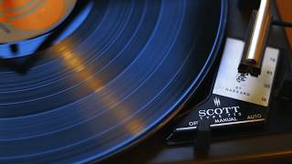 ASMR Record Player Vinyl Static Hiss screenshot 4