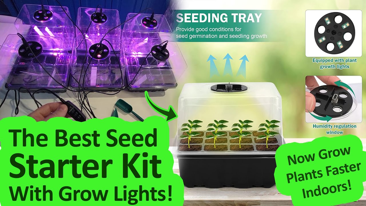 Seed Starter Tray Kit with Grow Light