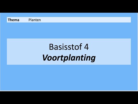 Video: Wortel (plant): beschrijving, waar het groeit, nuttige eigenschappen. gewone wortel