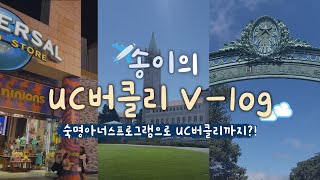 [숙명여대] 숙명아너스프로그램으로 UC버클리까지?! 송이의 UC버클리 브이로그