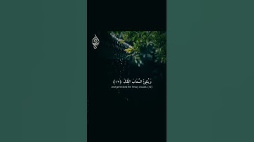 🌙 تلاوة مؤثرة من القرآن الكريم | Islam Sobhi