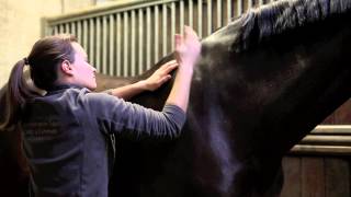 Video thumbnail of "Massage Sportif Equin"