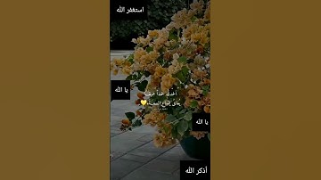 و ما بكم من نعمة فمن الله 🌼ايات من سورة النحل
