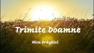 Nicu Drăghici - Trimite Doamne