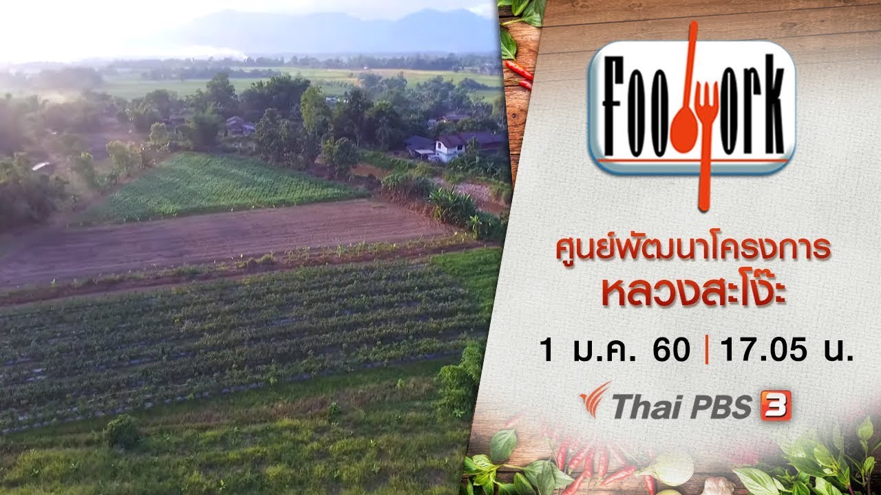 Foodwork : ศูนย์พัฒนาโครงการหลวงสะโง๊ะ (1 ม.ค. 60)