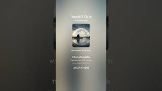 Genesis 9 Three