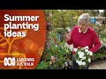 Summer planting ideas to extend your gardens colour  garden inspiration  gardening australia