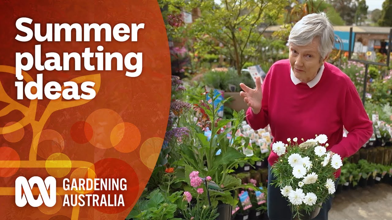 Summer planting ideas to extend your garden's colour Garden Inspiration Gardening Australia