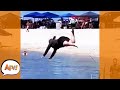 OOF! She Went FACE FIRST Into the FLOP! 😅 | Best Funny Fails | AFV 2022