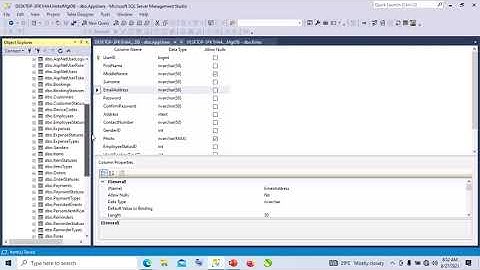 DEVELOPING HOTEL MANAGEMENT APP WITH RADZEN BLAZOR WEB ASSEMBLY (LESSON FIVE) CUSTOM SECURITY PART 1