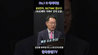 삼성전자, SK | TSMC 잡는다! (속보)메타 &#39;라마4&#39; 전격 도입한다!(김장열 본부장)