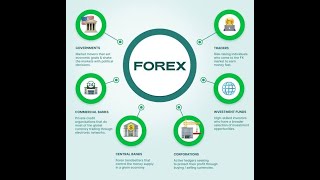 forex trading for beginners 2023