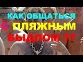 КАК ОБЩАТЬСЯ С ПЛЯЖНЫМ БЫДЛОМ ??