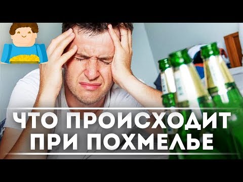 Что происходит при похмелье? [Plushkin]