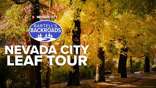 Fall colors in Nevada City | Bartell's Backroads