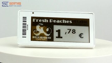 Sertag 2.9 inch Wireless ESL Display Epaper Electronic Shelf Label for Warehouse SETR0290Y