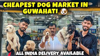 Cheapest Dog Market in Guwahati All India Delivery Available