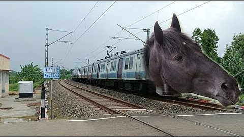 Super Speedy Black Horse Emu Tarin : Galloping EMU Train Dangerous & Furious Moving Out Railgate