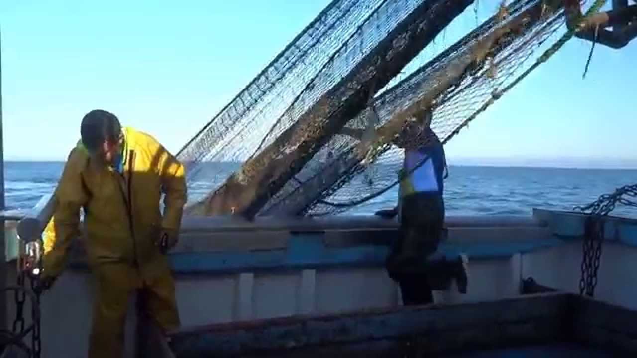 Une journée à bord du chalutier 