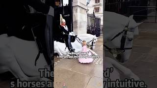 😱 These Royal Guard Horses Can Sense Everything!#GuardHorse #RoyalGuard #HorseReaction