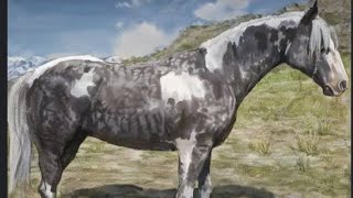 RDR2 - How to get a Silver Dapple Pinto Missouri Fox Trotter early in Chapter 2
