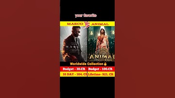 Marco VS Animal Movie Box Office Collection Comparison 🔥😲#marco #shorts