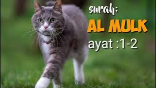 surah Al MULK ayat 1-2