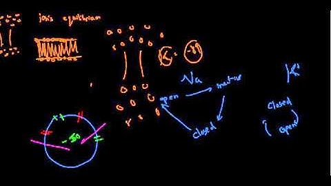lecture 19 part 6 (Question answering - Action potential)