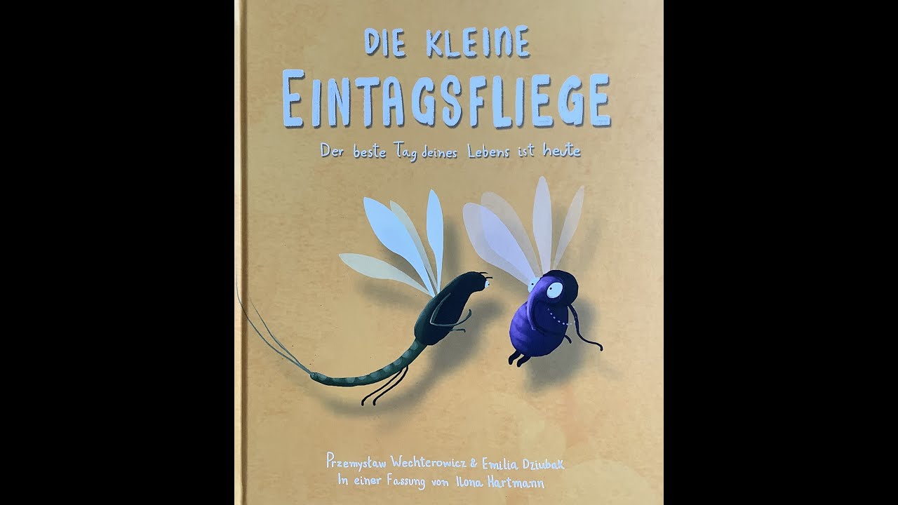 Die kleine Eintagsfliege - Bilderbuchtipp
