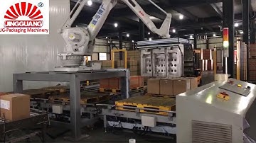Robot palletizer and palletizer for cartons, cases, bottles China