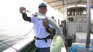 自動膨脹式ウエストベルト2 | 株式会社オーナーばり｜海釣り仕掛け