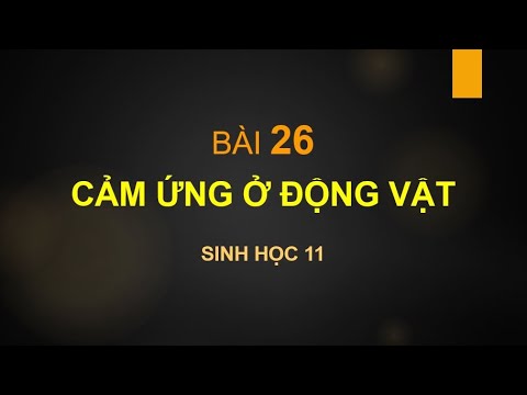 SINH HỌC 11 CƠ BẢN. BÀI 26. CẢM ỨNG Ở ĐỘNG VẬT - youtube