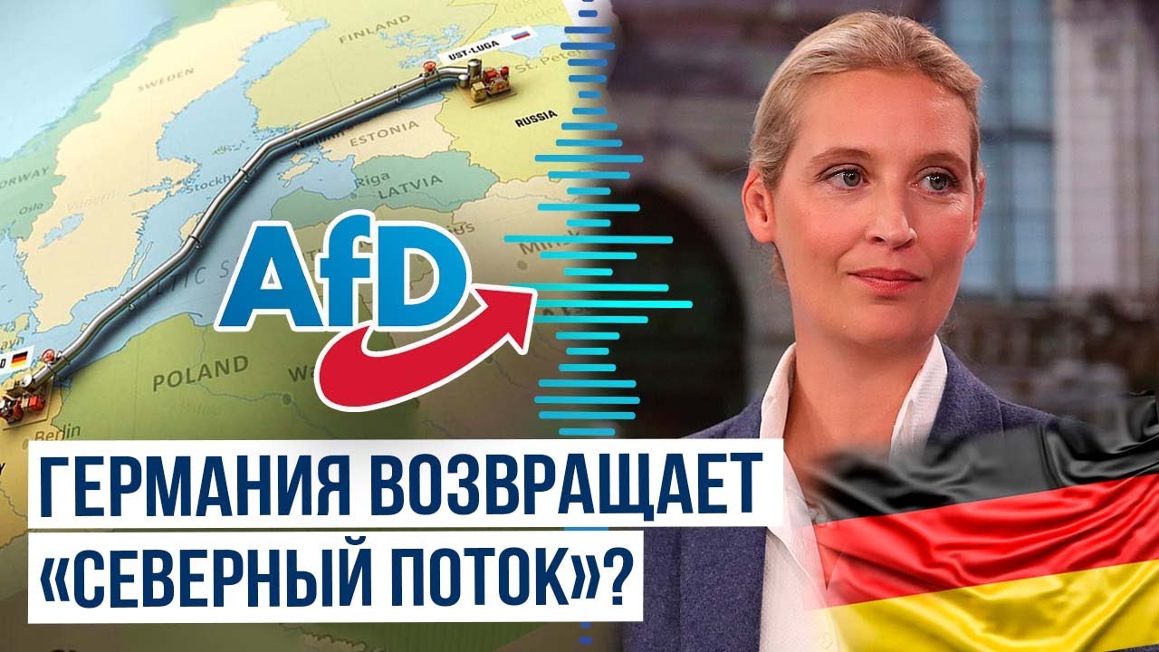 какая партия выиграла в германии