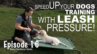 Speed Up Your Dogs Training With Leash Pressure. Episode 16