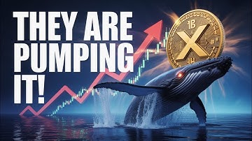 XRP WHALES ARE PUMPING IT TO $100! (HERE