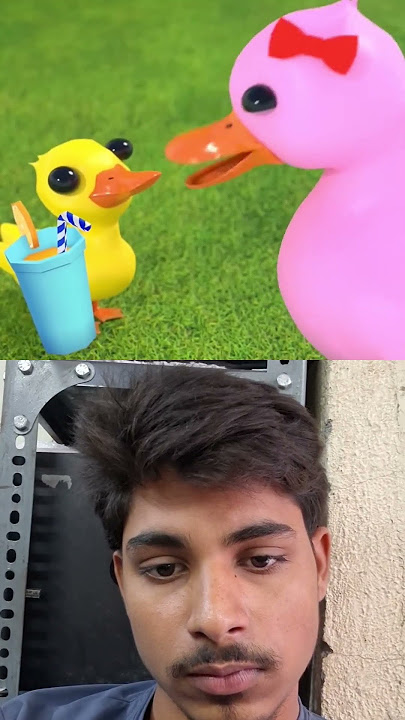 https://youtube.com/shorts/qe3lzbs47UY?si=n-7yYo414ihdNsnC #cute #duck
