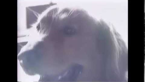 Tom Dillon - Fiddle Contestant - Bethel 1990