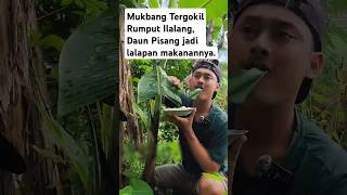 Download Lagu Orang ini makan rumput ilalang sebagai lalapan !!  #camping #tentangalam #pedesaan #mukbang MP3