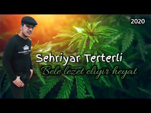 Sehriyar Terterli - Bele Lezet Eliyir Heyat 2020 (Kayfa Aparan Mahni)