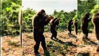 𝐇𝐞𝐚𝐩𝐩𝐞𝐫 - 𝐌𝐎𝐍𝐓𝐀𝐆𝐄𝐌 𝐋𝐈𝐌𝐈𝐓𝐀𝐃𝐎 | (𝐒𝐋𝐎𝐖𝐄𝐃) | (𝐓𝐢𝐤𝐓𝐨𝐤 𝐕𝐞𝐫𝐬𝐢𝐨𝐧) | (𝐅𝐮𝐧𝐤𝐞𝐫𝐮𝐬 𝐎𝐟𝐟𝐢𝐜𝐢𝐚𝐥 𝐕𝐢𝐝𝐞𝐨)