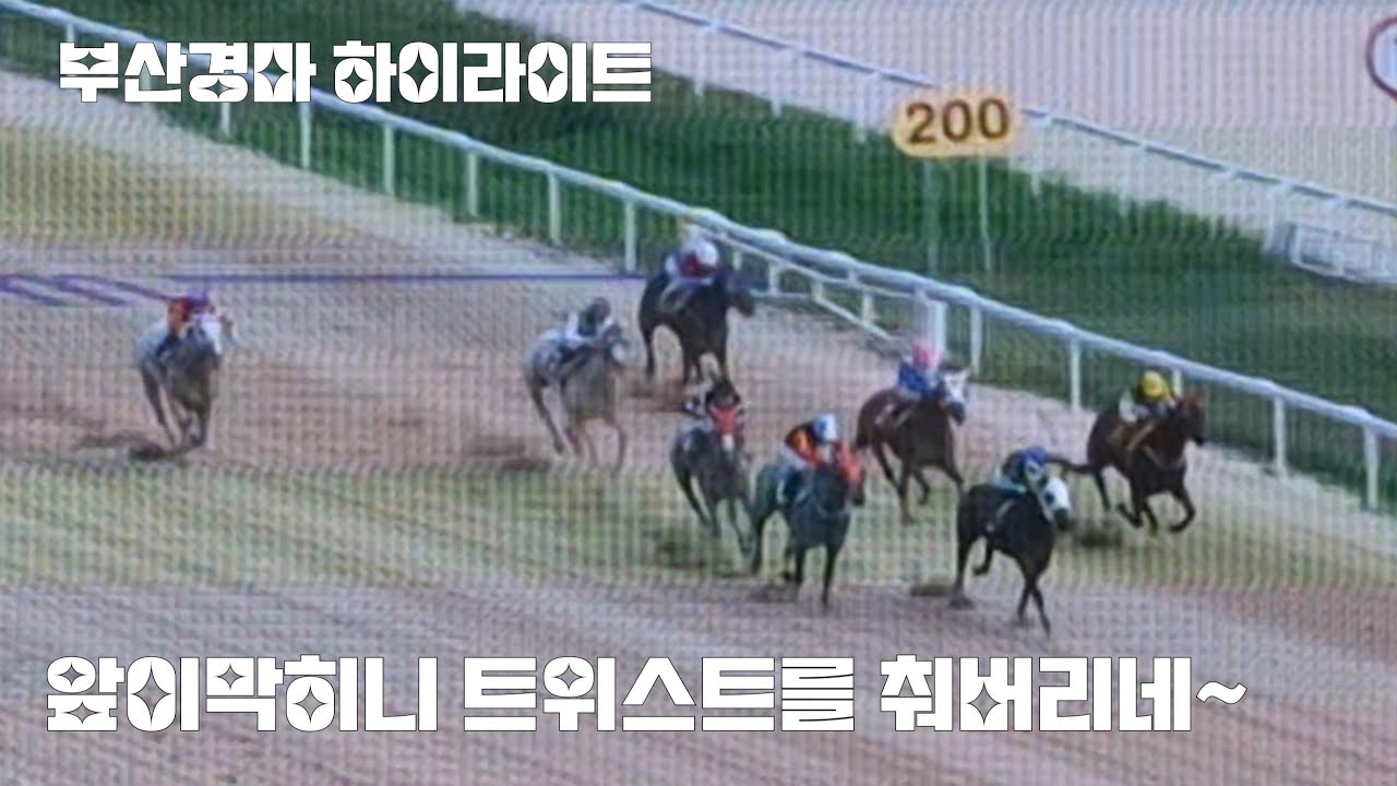 경마는 순간의 선택이 착순을 좌우합니다! (부산경마 하이라이트)