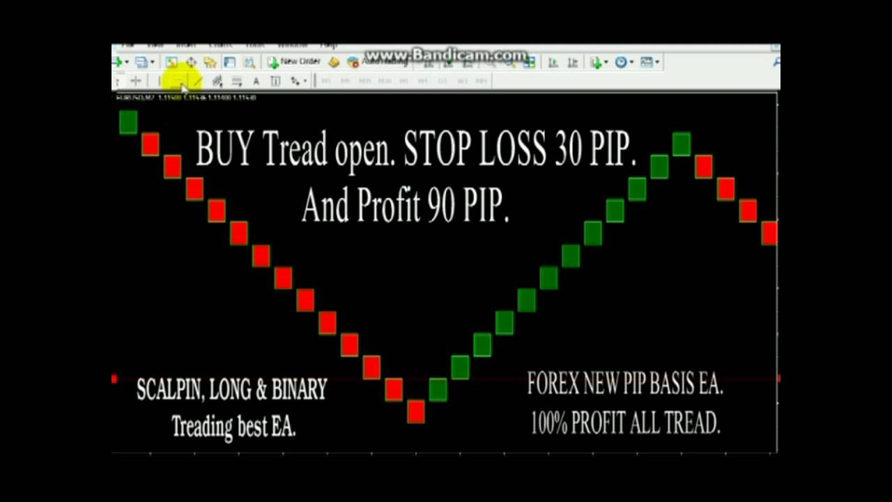 XM Pip Value Calculator forex per pip