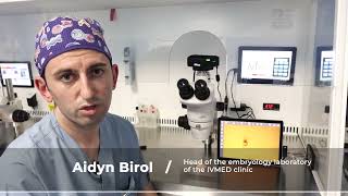 Embryoscope time lapse system