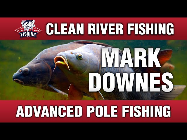 advanced pole fishing subscription Marvel Spider-Man Kit from the river bank to the bow Mastering Pole Fishing: A Comprehensive