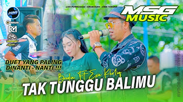TAK TUNGGU BALIMU - Brodin Ft Eva Kholiq MSG MUSIC X FARIS KENDANG Purwodadi Grobogan #2025