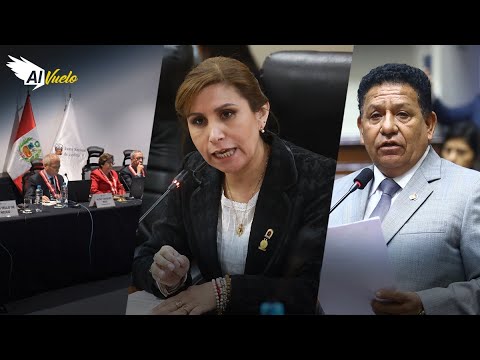 Patricia Benavides hizo el roche de su vida ante la JNJ hasta su abogado le  cambió el apellido