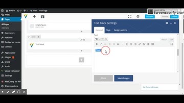 Befolio WordPress Theme - Text block shortcode