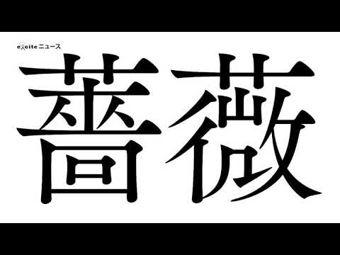 オジンオズボーン篠宮暁 難しい漢字もリズムに合わせて楽しく身につく 秒で漢字暗記 薔薇編 鬱編 高橋書店編 Youtube