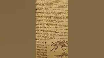 Webster International Dictionary 1890 Published 1926 