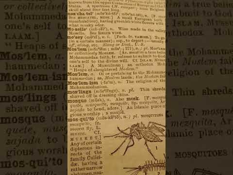 Webster International Dictionary 1890 Published 1926